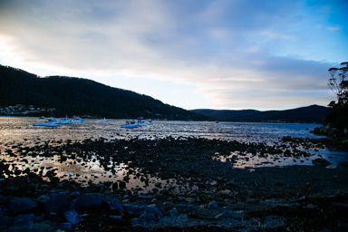 IMG_2791.CR2
