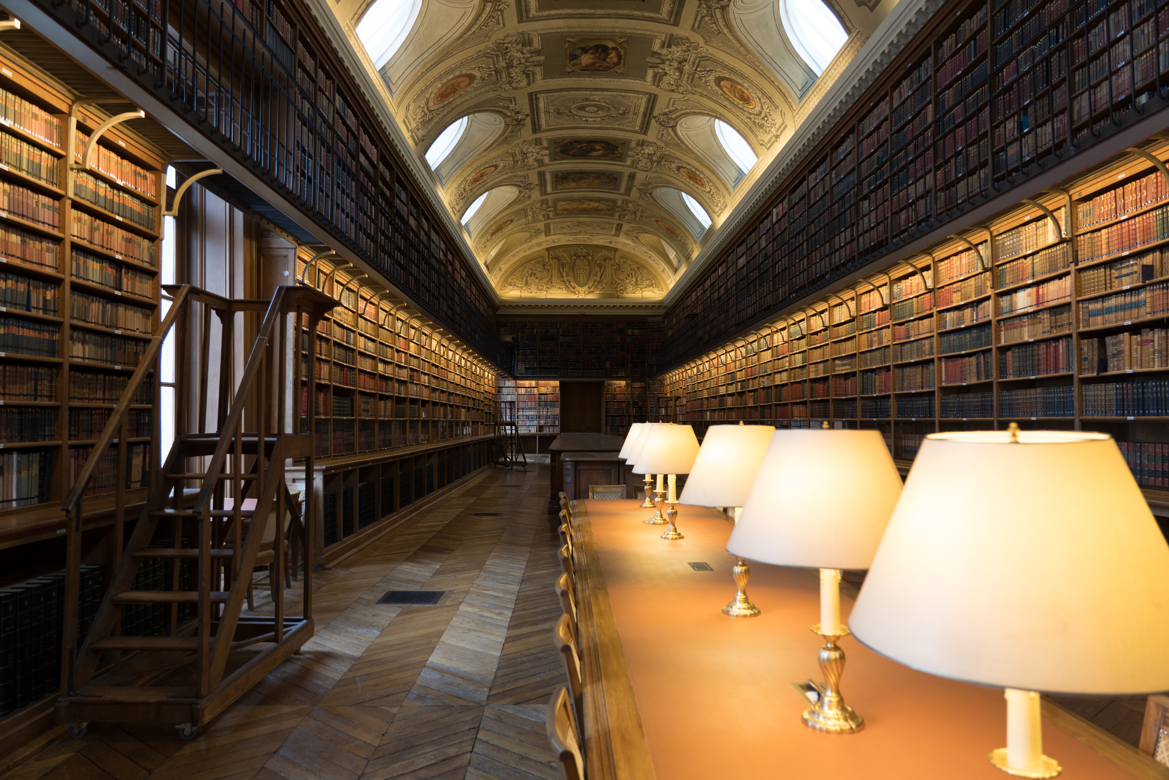 A long formal library room at the Luxembourg palace. In the center of the room (and the frame) is a large rectangular table with 6 lamps on it in a line. The walls are lined with book shelves filled with books. There is a second story walkway above and a ladders to access books on the sides. The ceiling is a vaulted arch with a number of skylights and paintings.