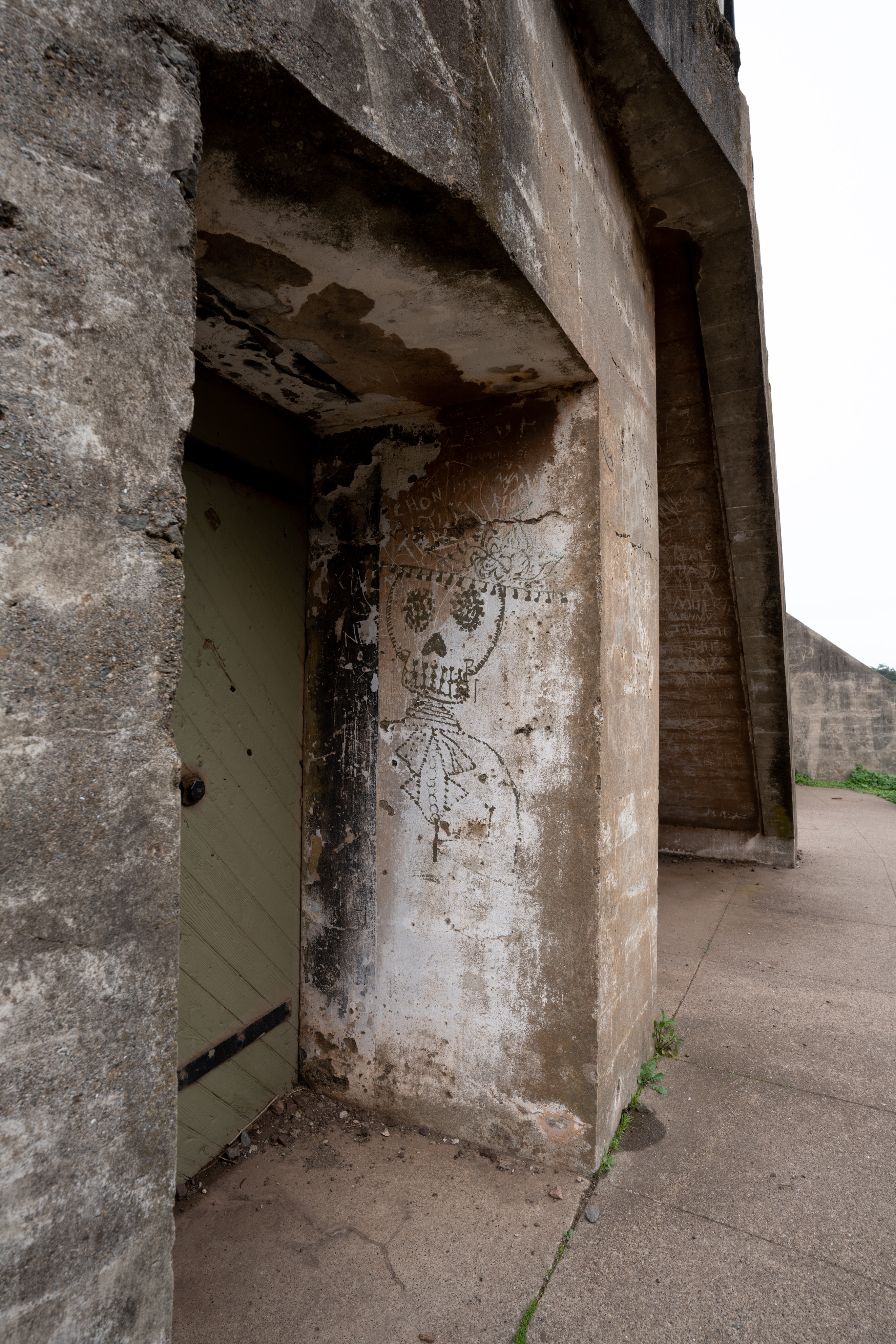 _DSC1137.ARW