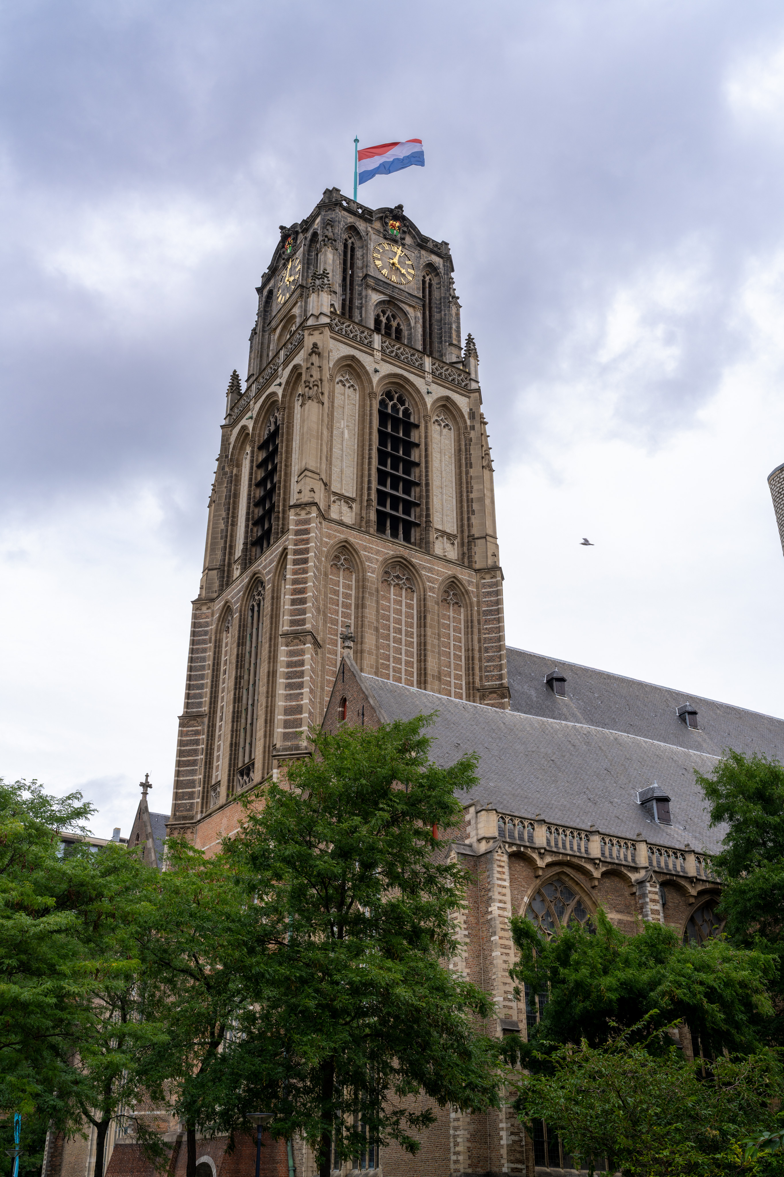 _DSC2546.ARW