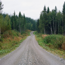 000078180002.tif