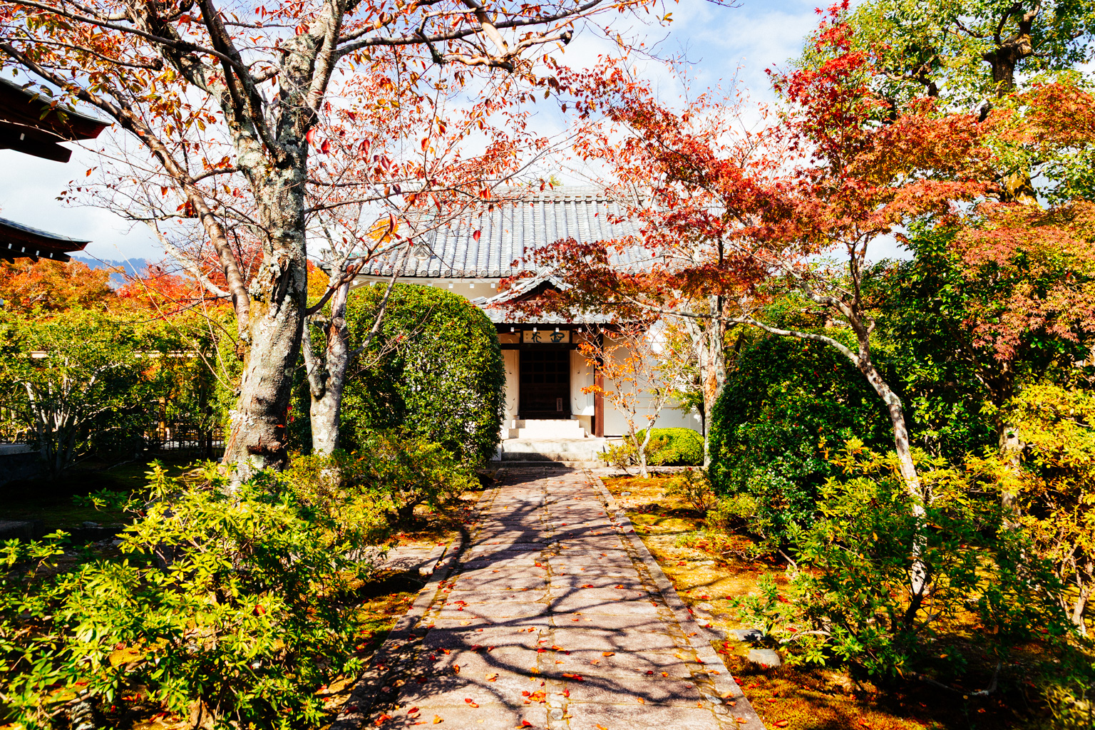 Kyoto fall II