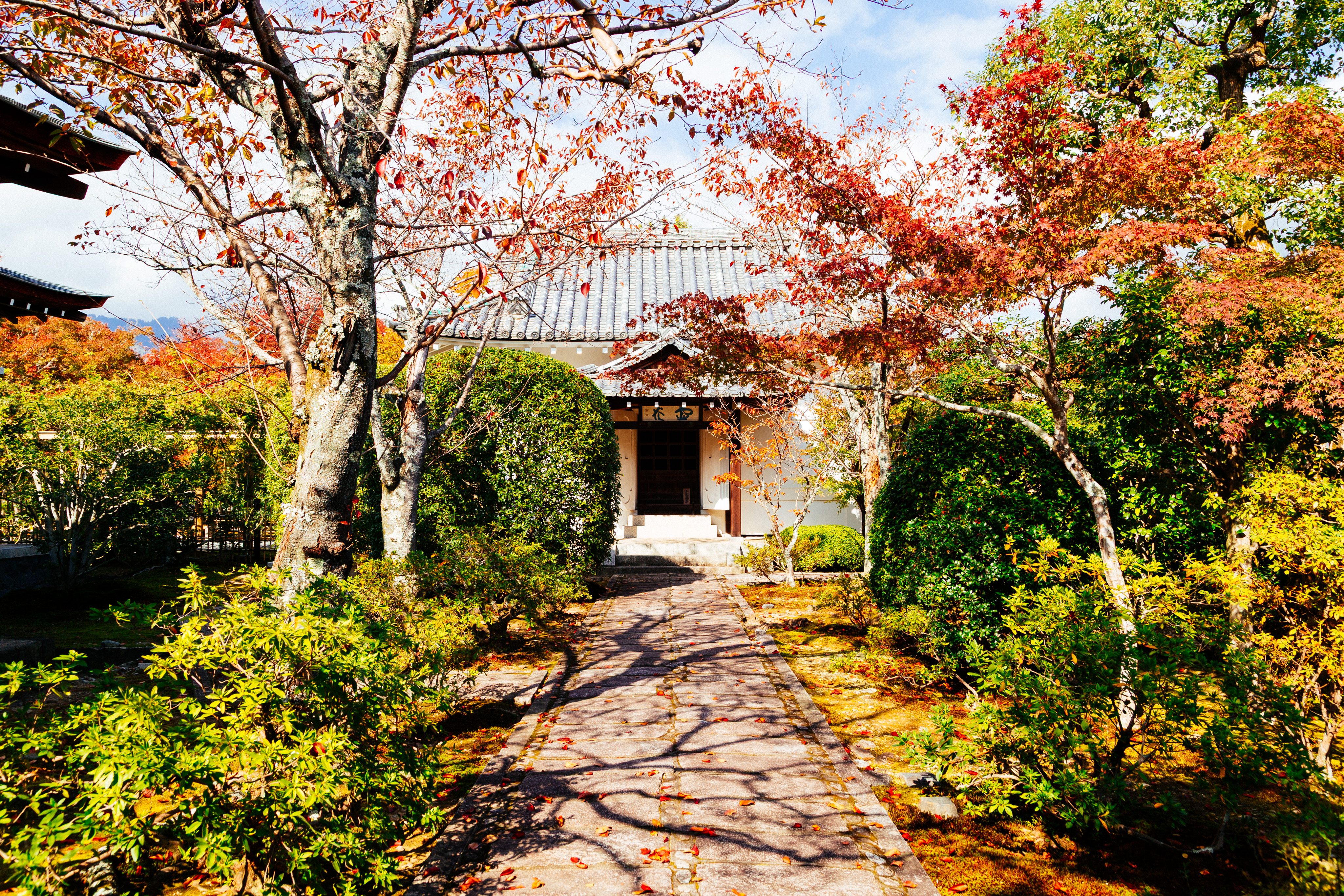 Kyoto fall II