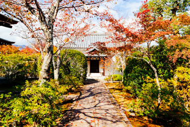 Kyoto fall II