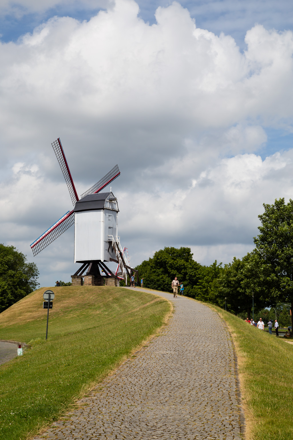 IMG_0771.CR2