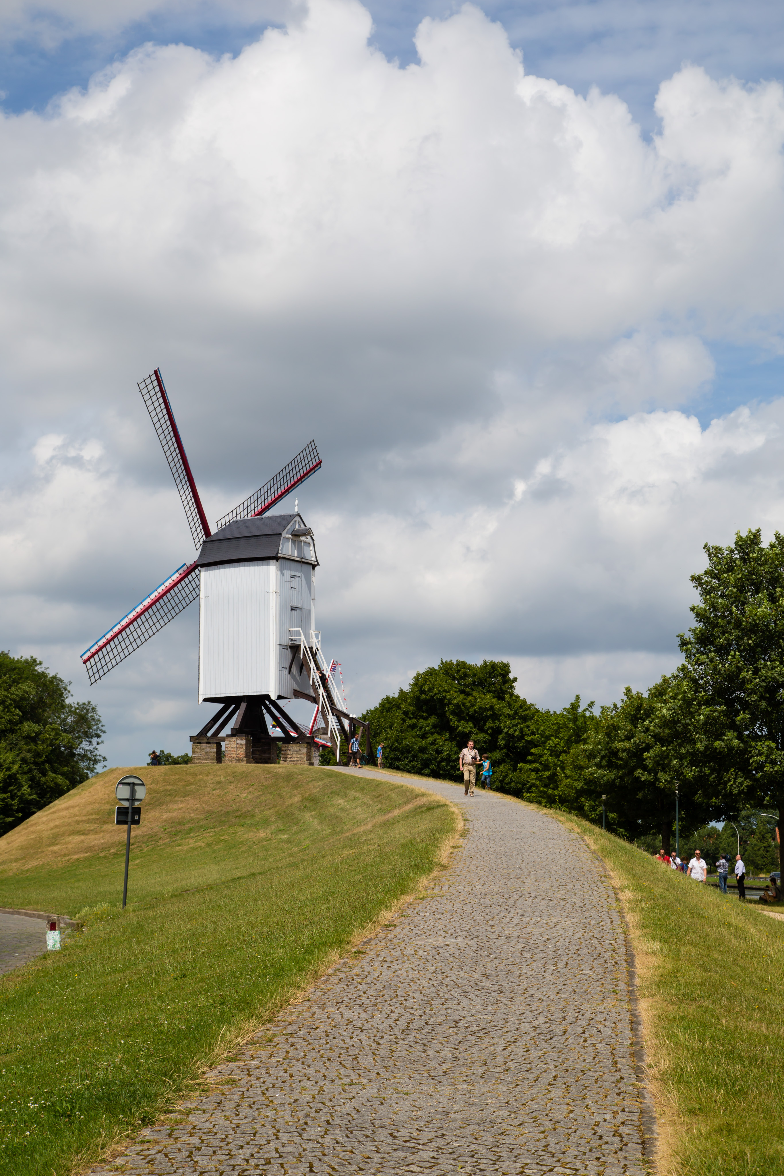 IMG_0771.CR2