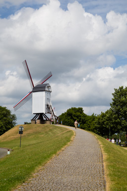 IMG_0771.CR2