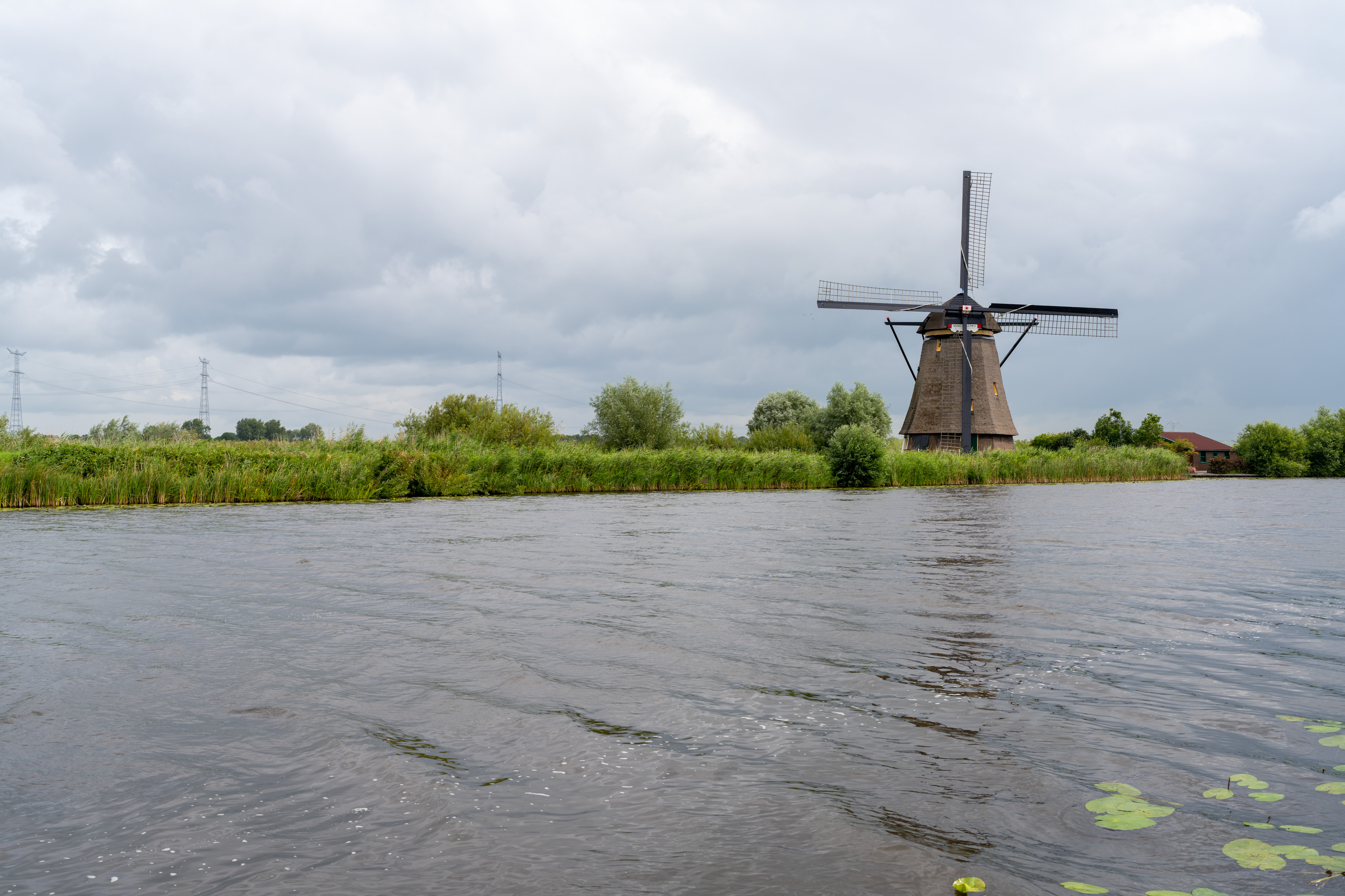 _DSC2446.ARW