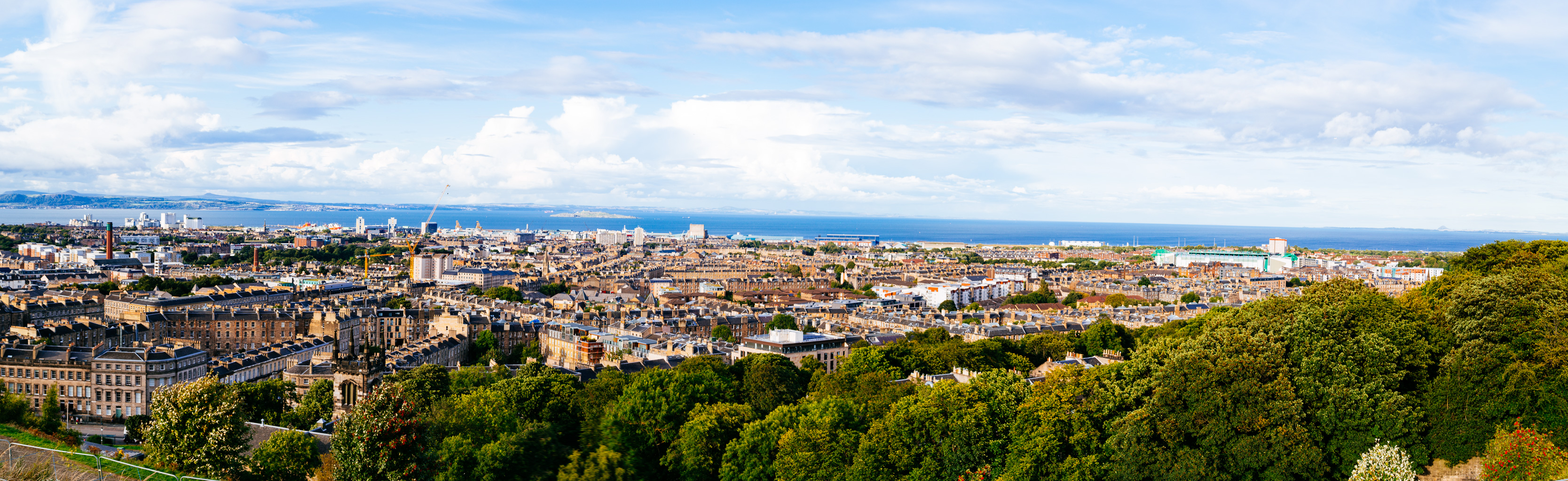 IMG_3493-Pano.dng