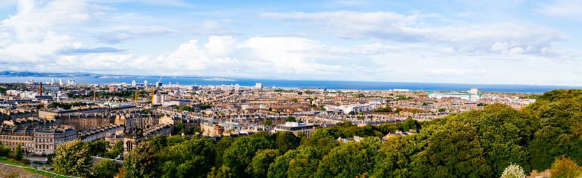 IMG_3493-Pano.dng