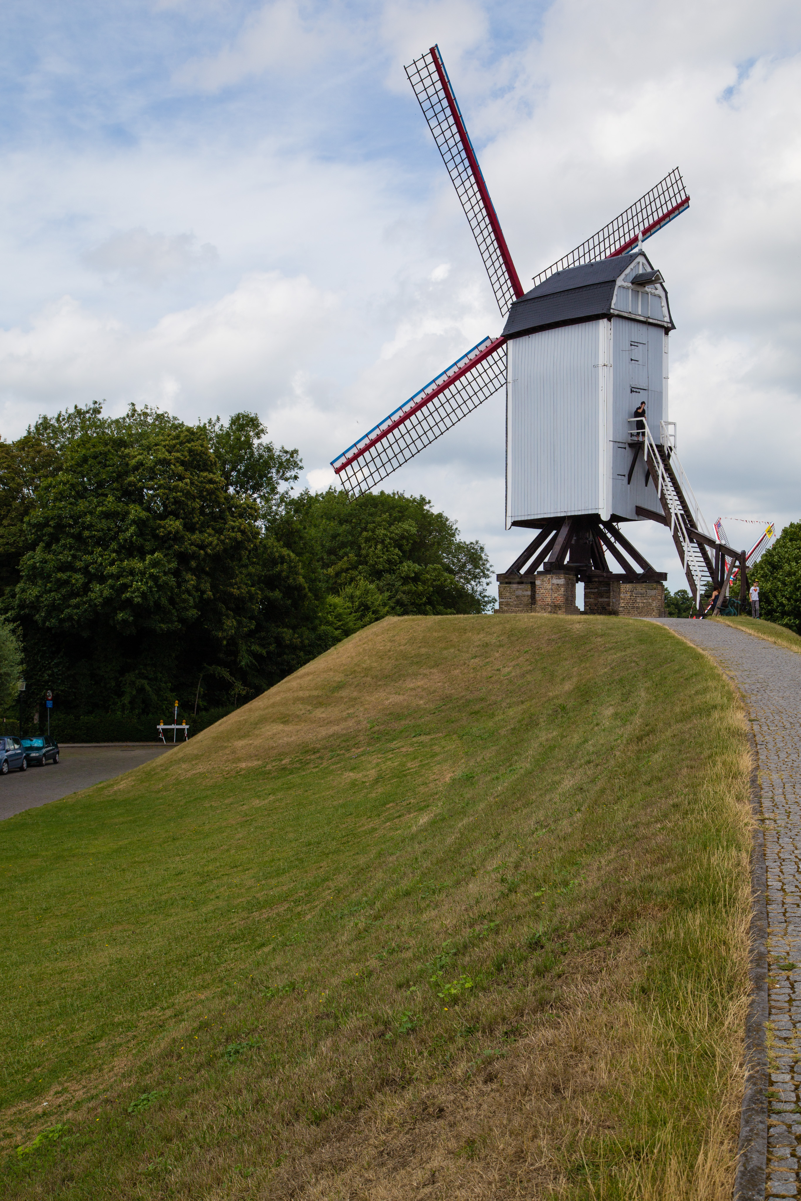 IMG_0774.CR2