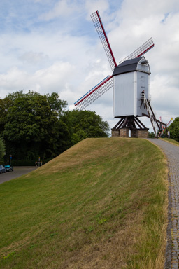 IMG_0774.CR2