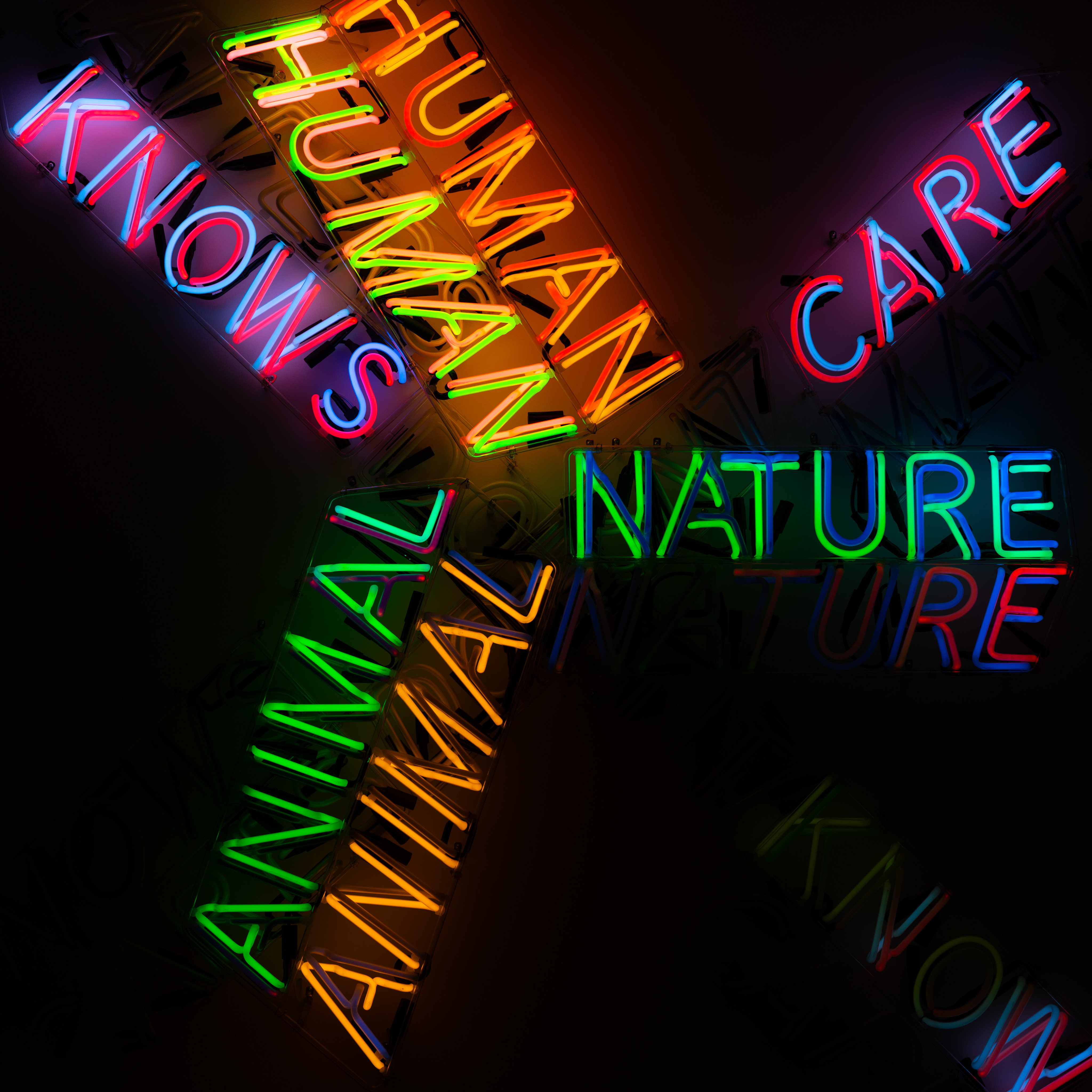 knows human care nature animal