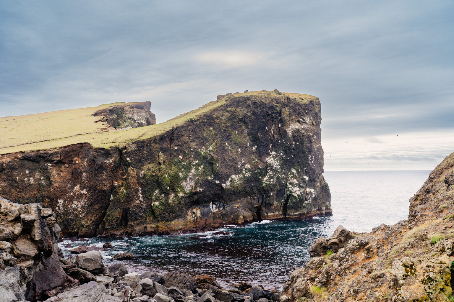 _DSC4738.ARW