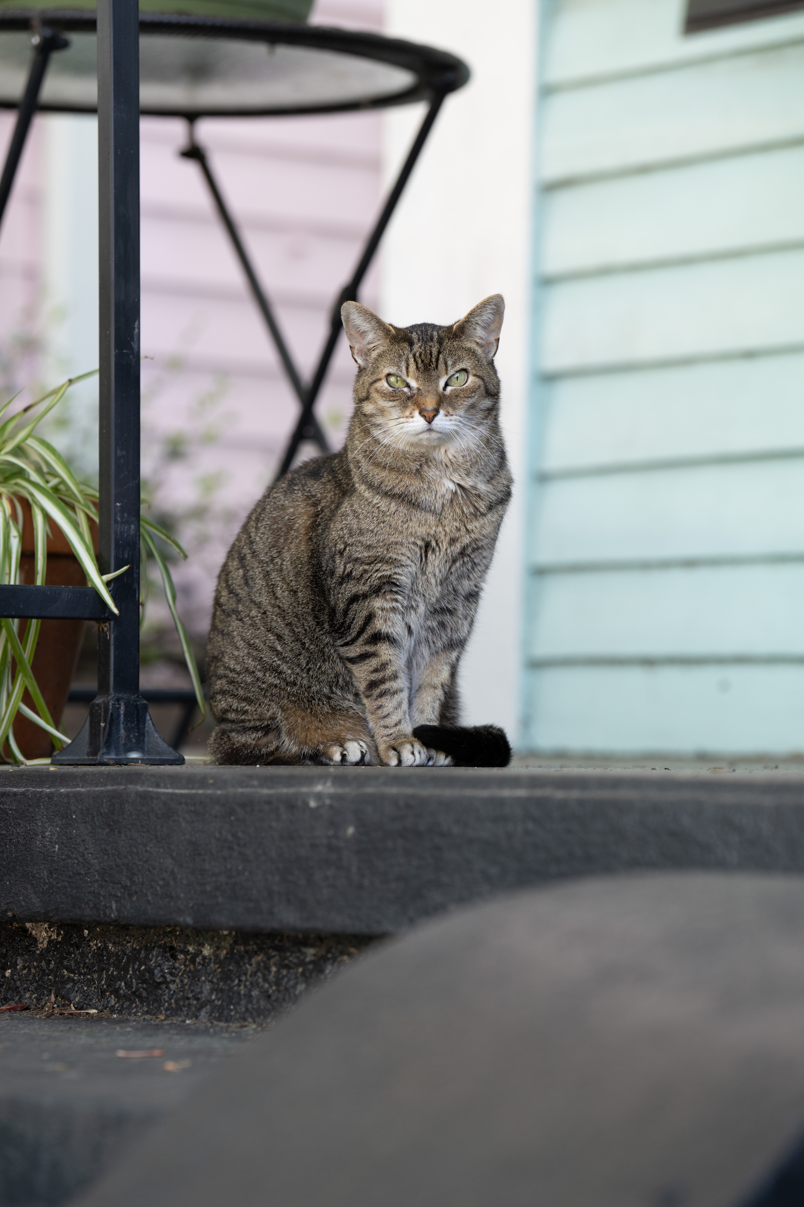 _DSC3593.ARW
