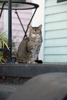 _DSC3593.ARW