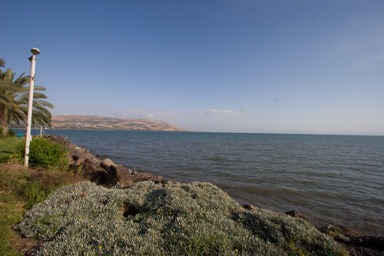 _MG_8047.CR2