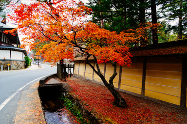 Fall on Koya-san II