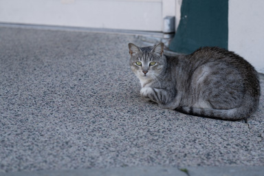_DSC3556.ARW