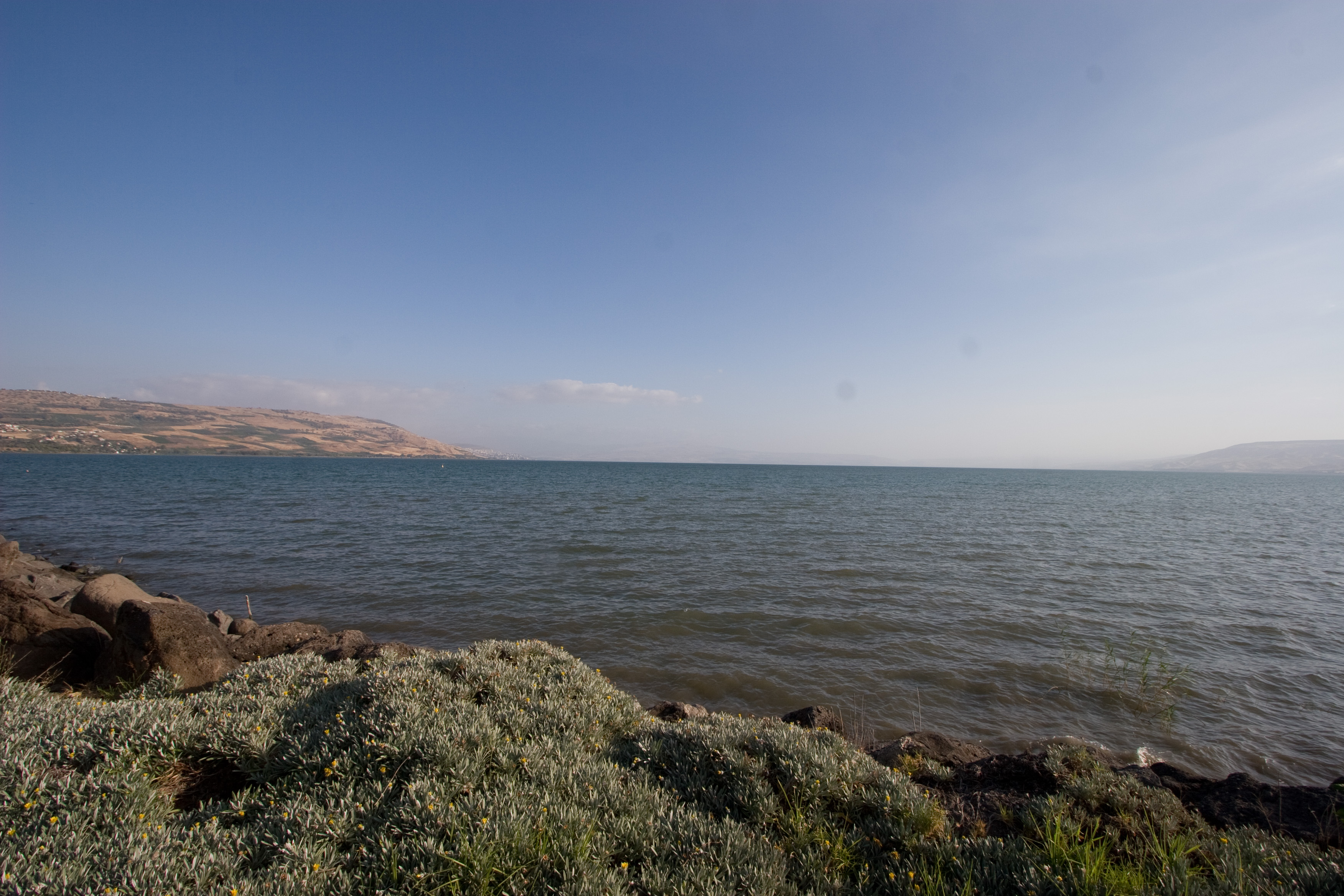 _MG_8046.CR2