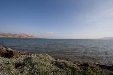 _MG_8046.CR2
