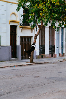 IMG_5127.CR2