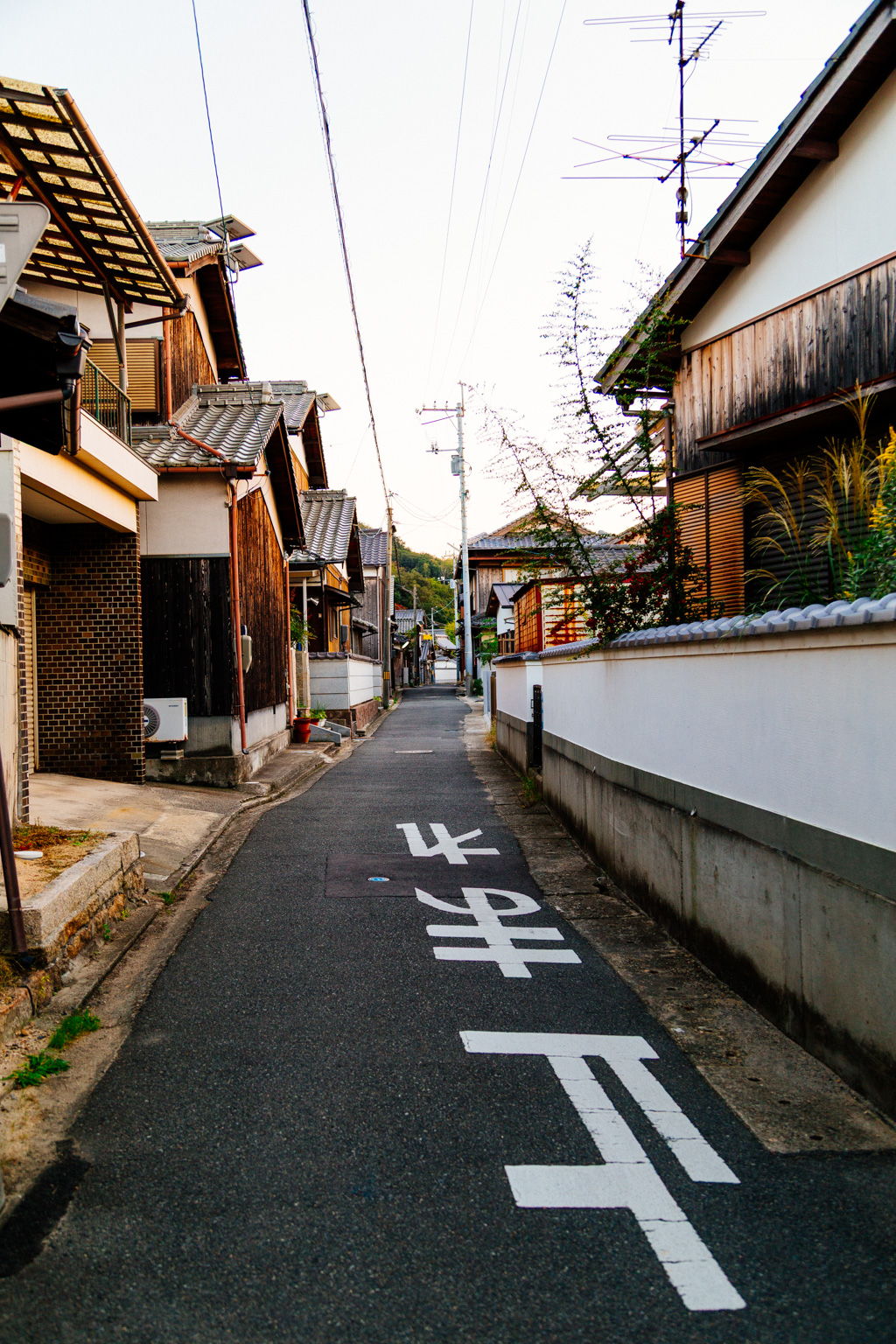 IMG_4552.CR2