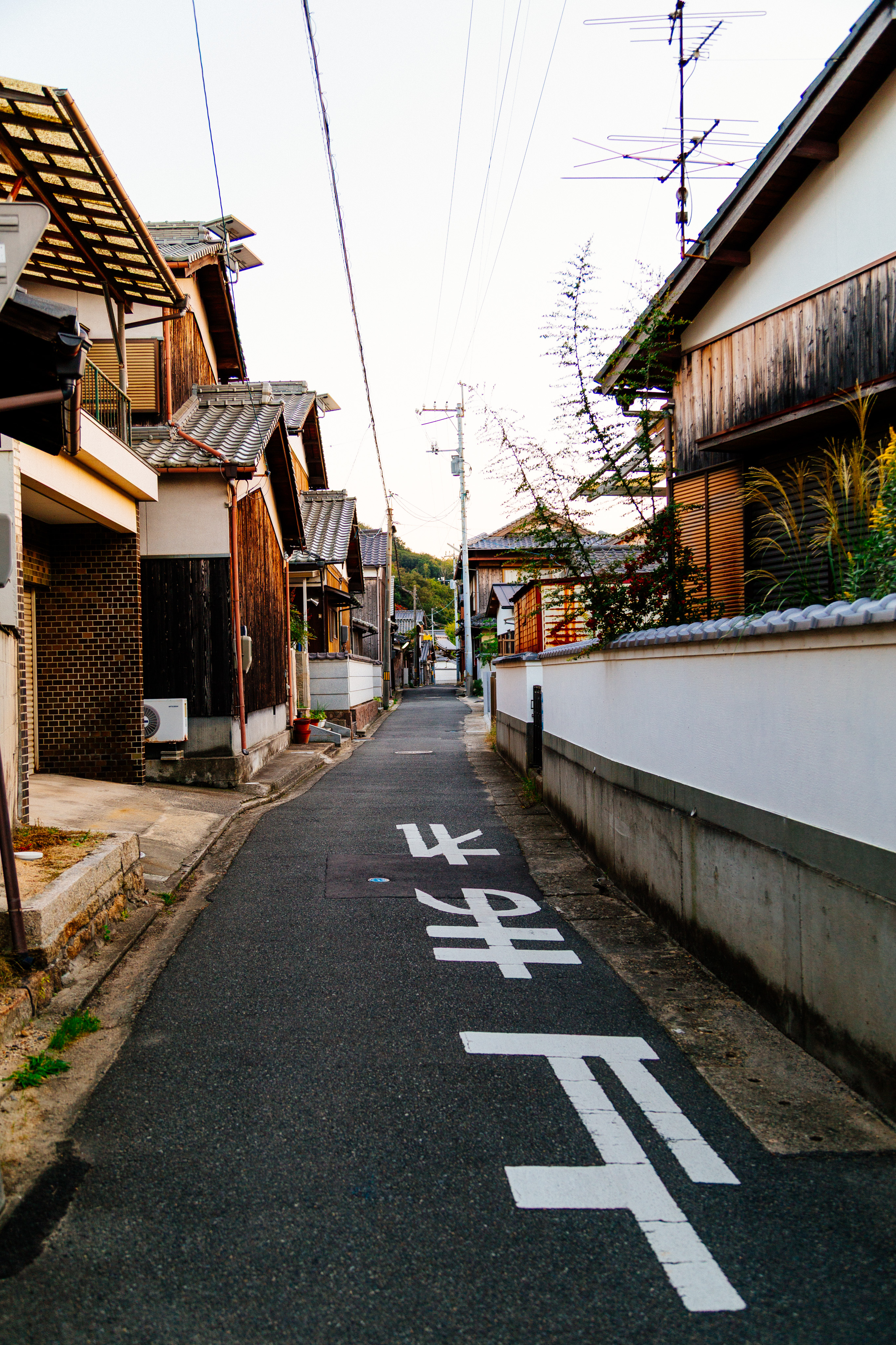 IMG_4552.CR2