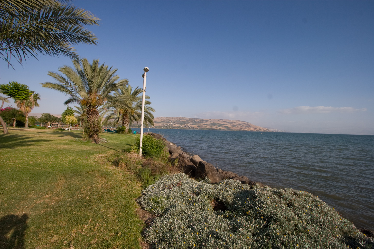 _MG_8049.CR2