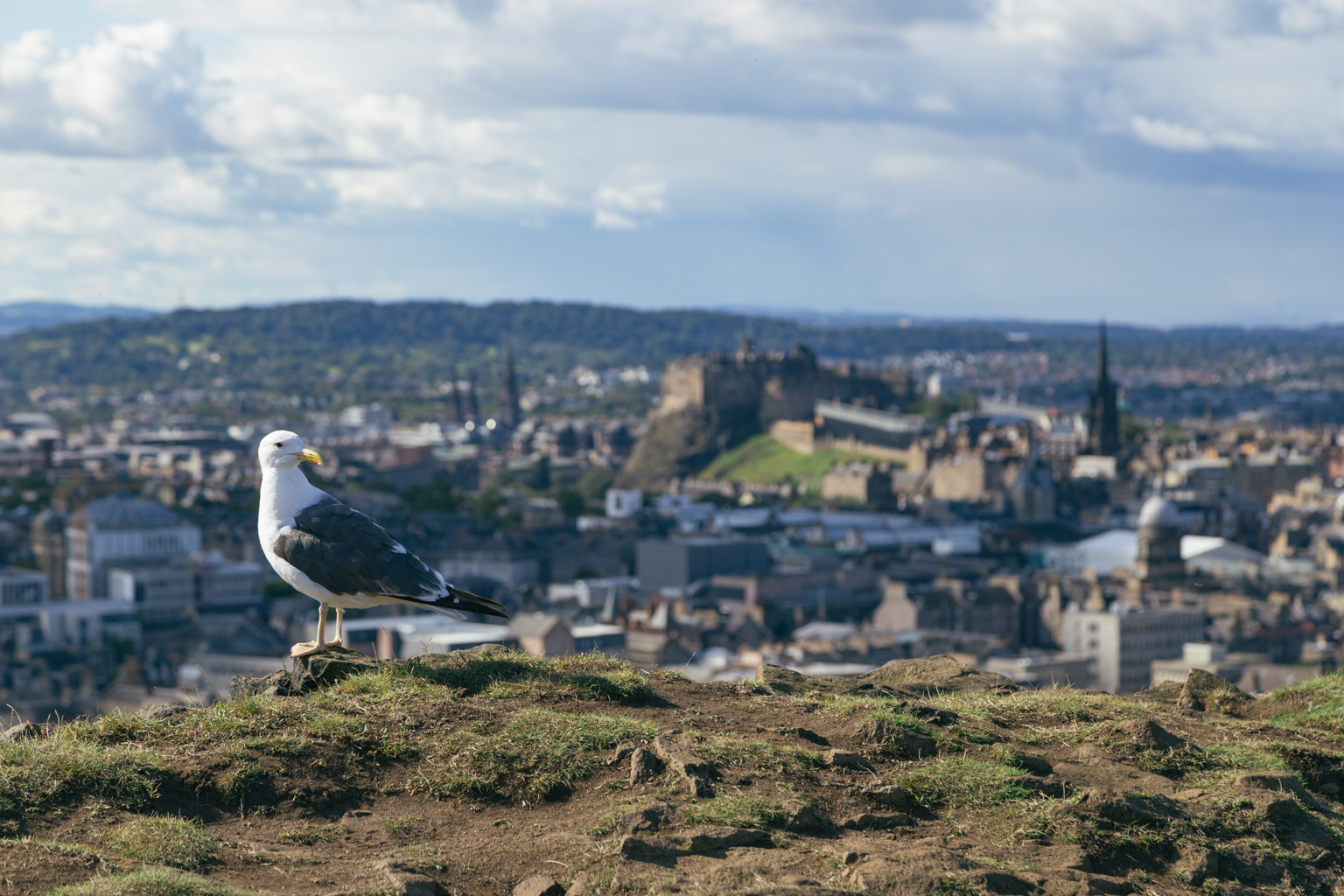 Looking over Edinburgh