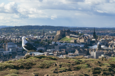 Looking over Edinburgh