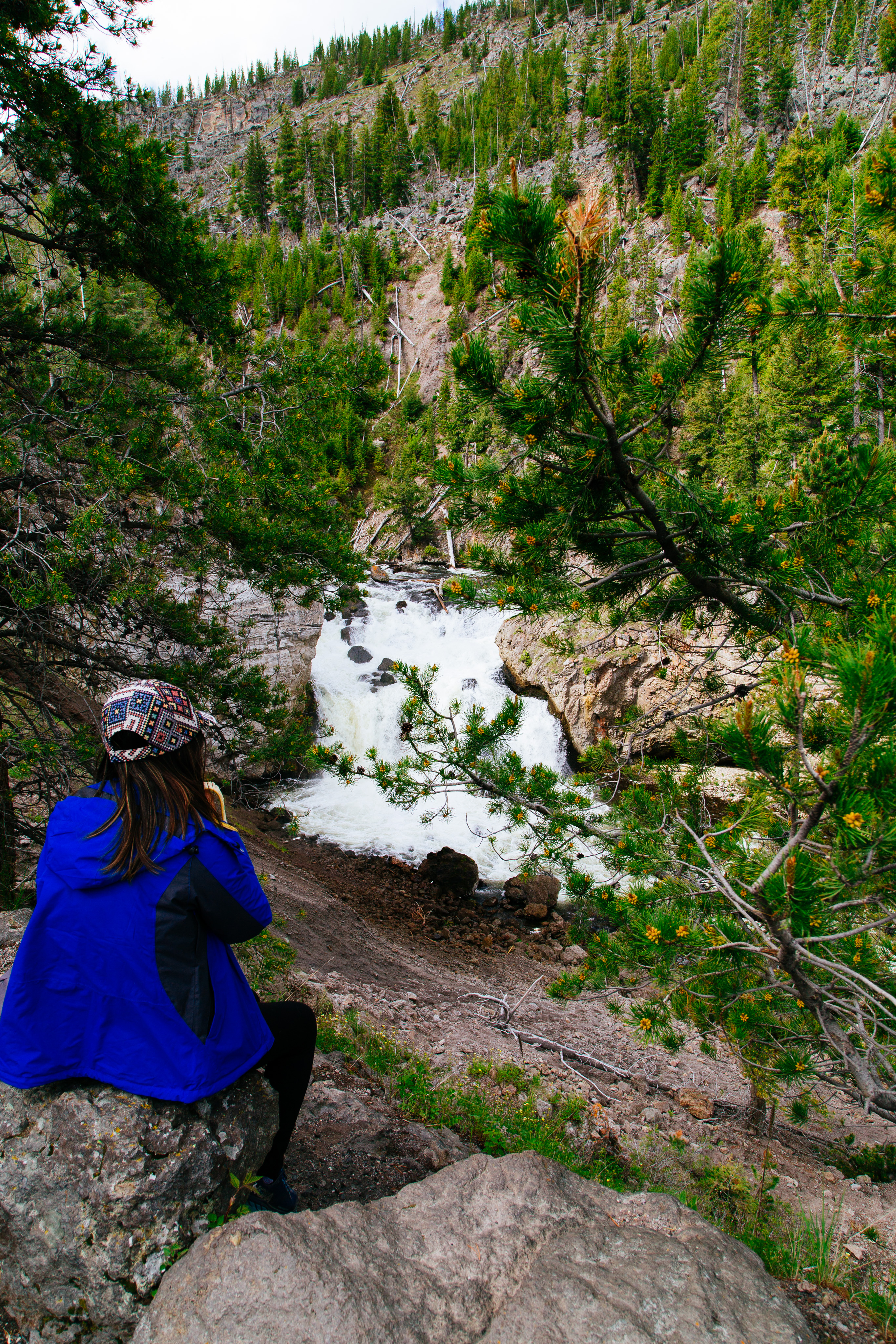 A person wearing a hat and a blue coat sits on a rock looking out at a waterfall in the background. Ever green trees line the cliffs on either side of the small valley.