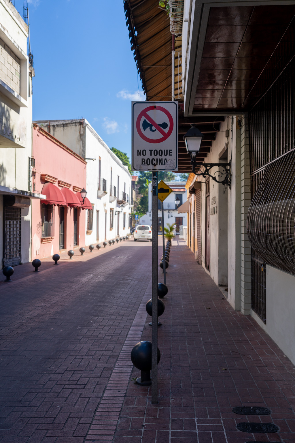 _DSC3125.ARW