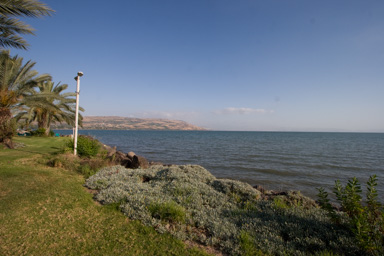 _MG_8041.CR2