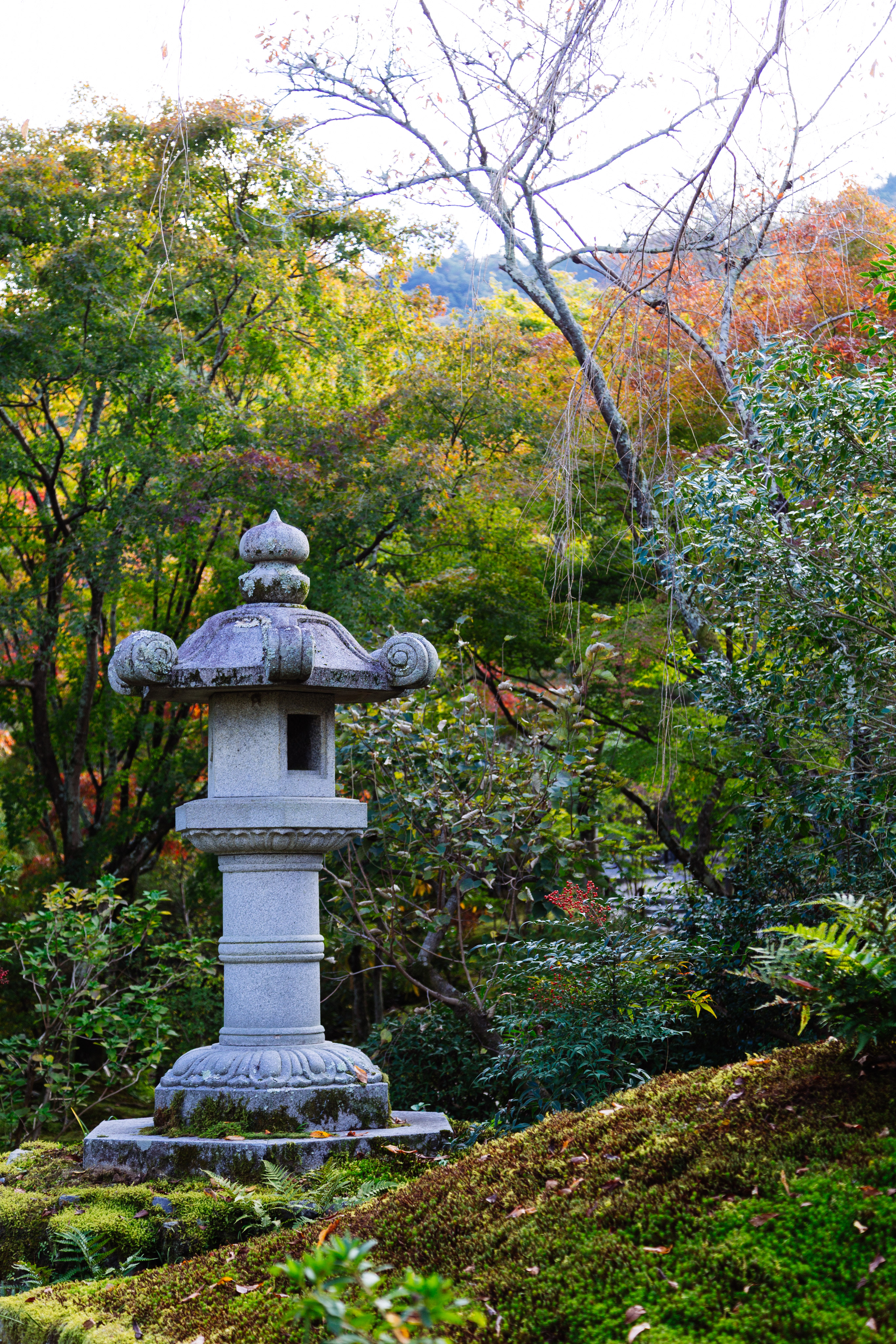 Kyoto-scape