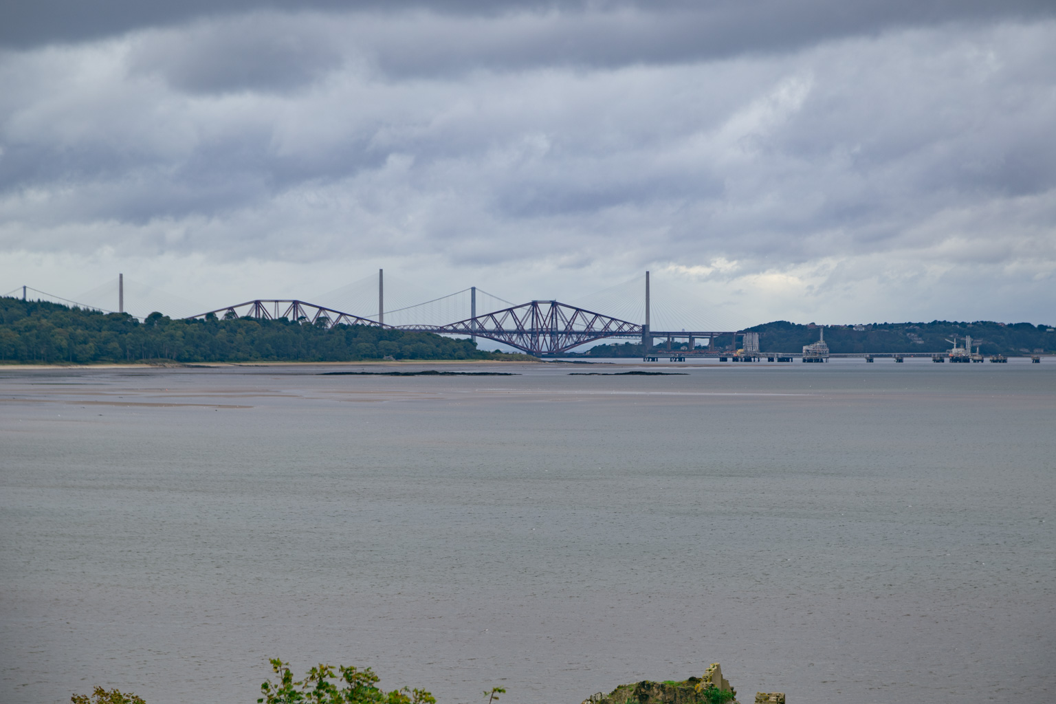 IMG_3731-HDR.dng
