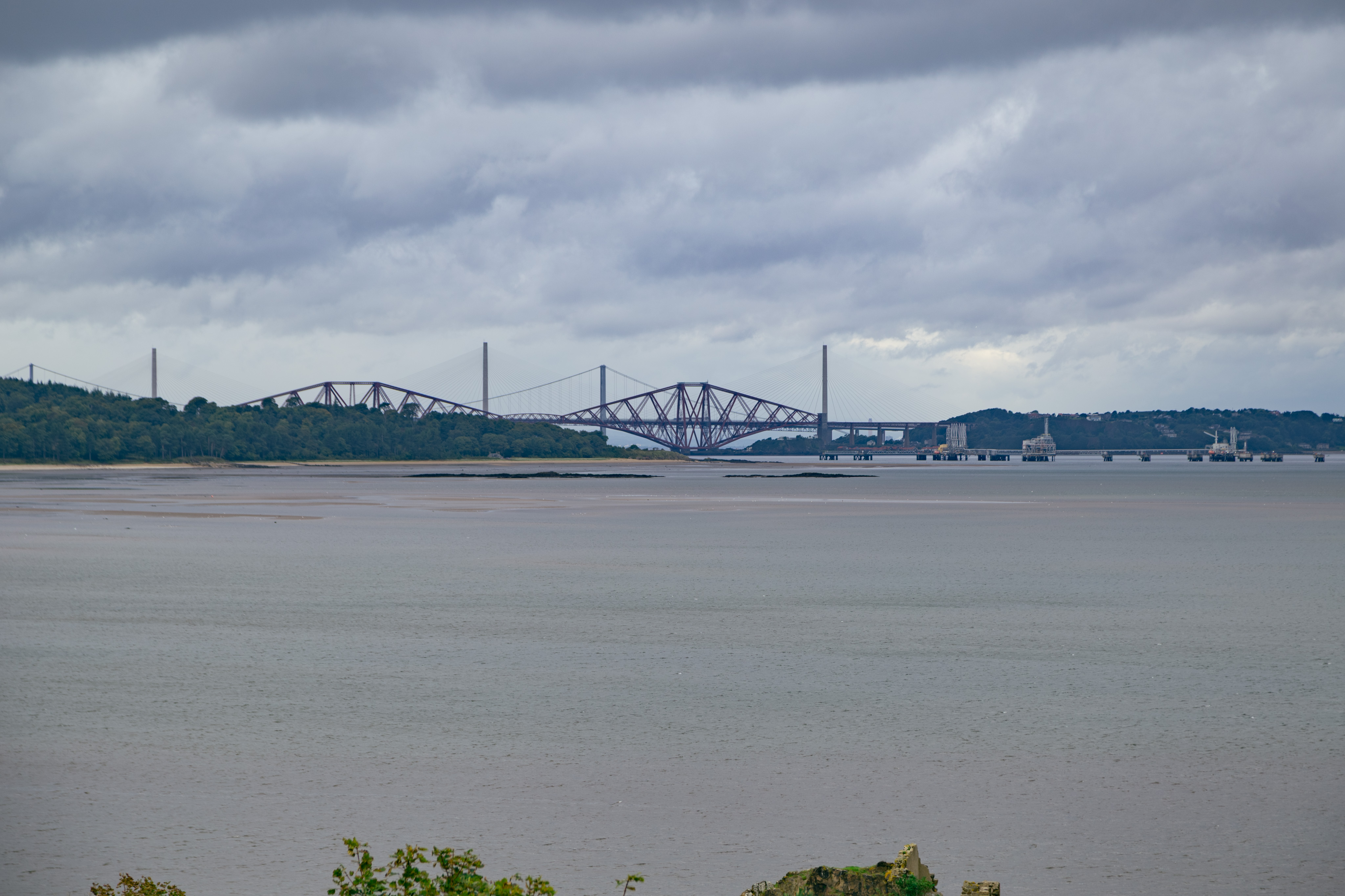 IMG_3731-HDR.dng