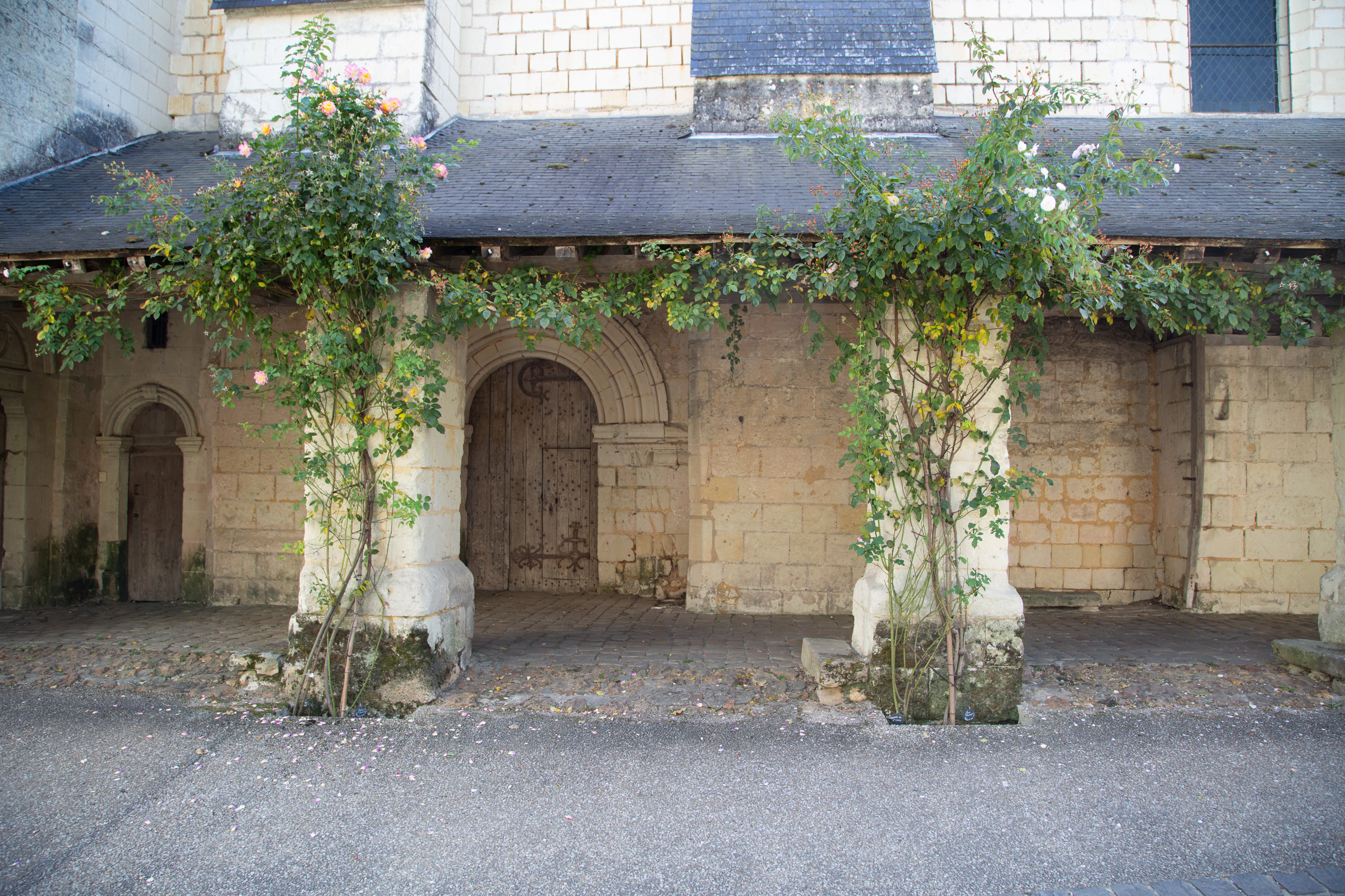 One side of an old Abbey. A large overhang covers a walkway. There is a large door int eh center-left and a small door on the far-left. Two columns are in the foreground, with vines growing up leading to plants covering the eave and roof.