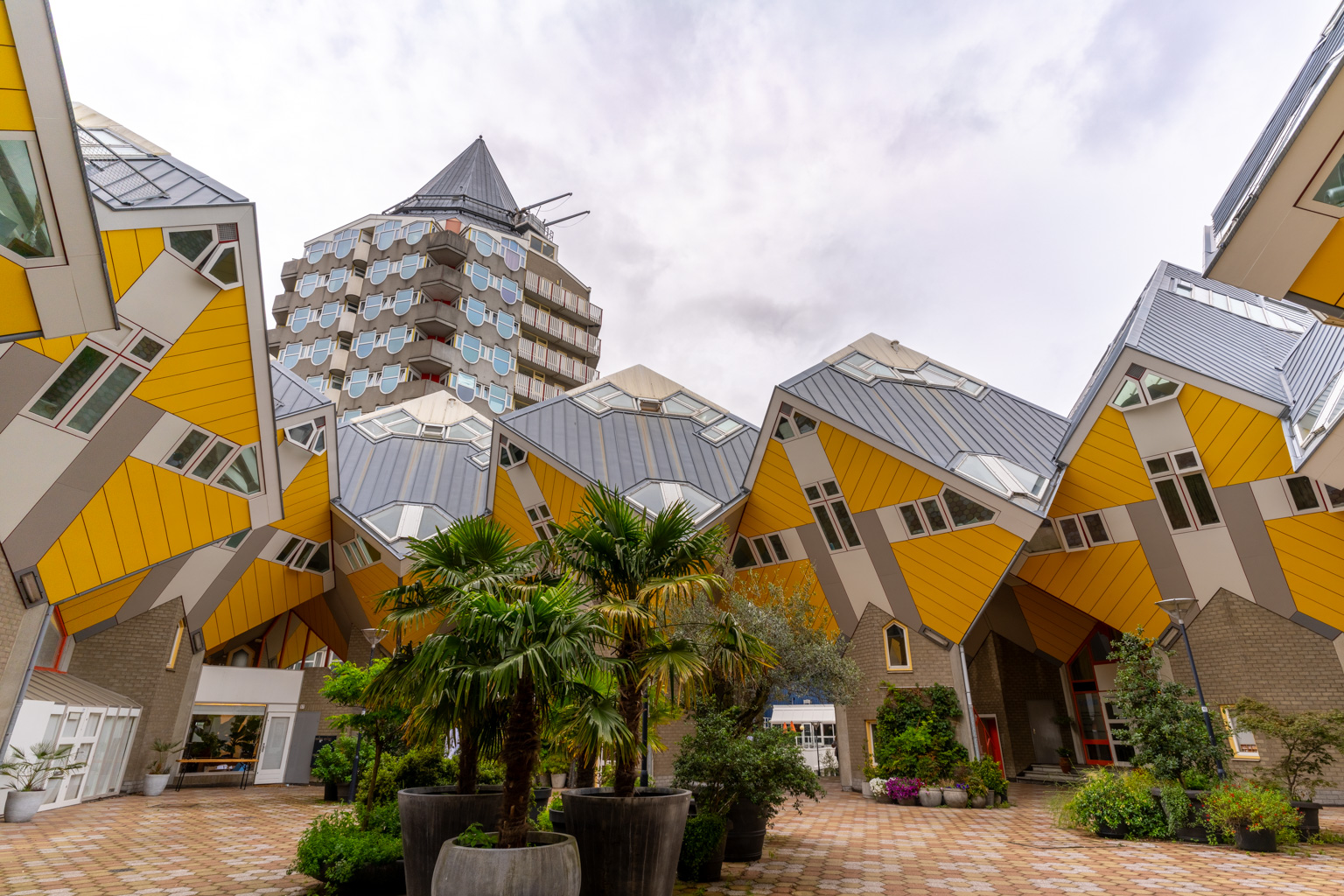 _DSC2523-HDR.dng