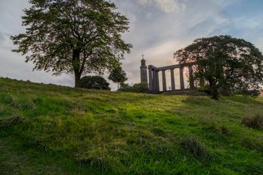 IMG_3501-HDR.dng