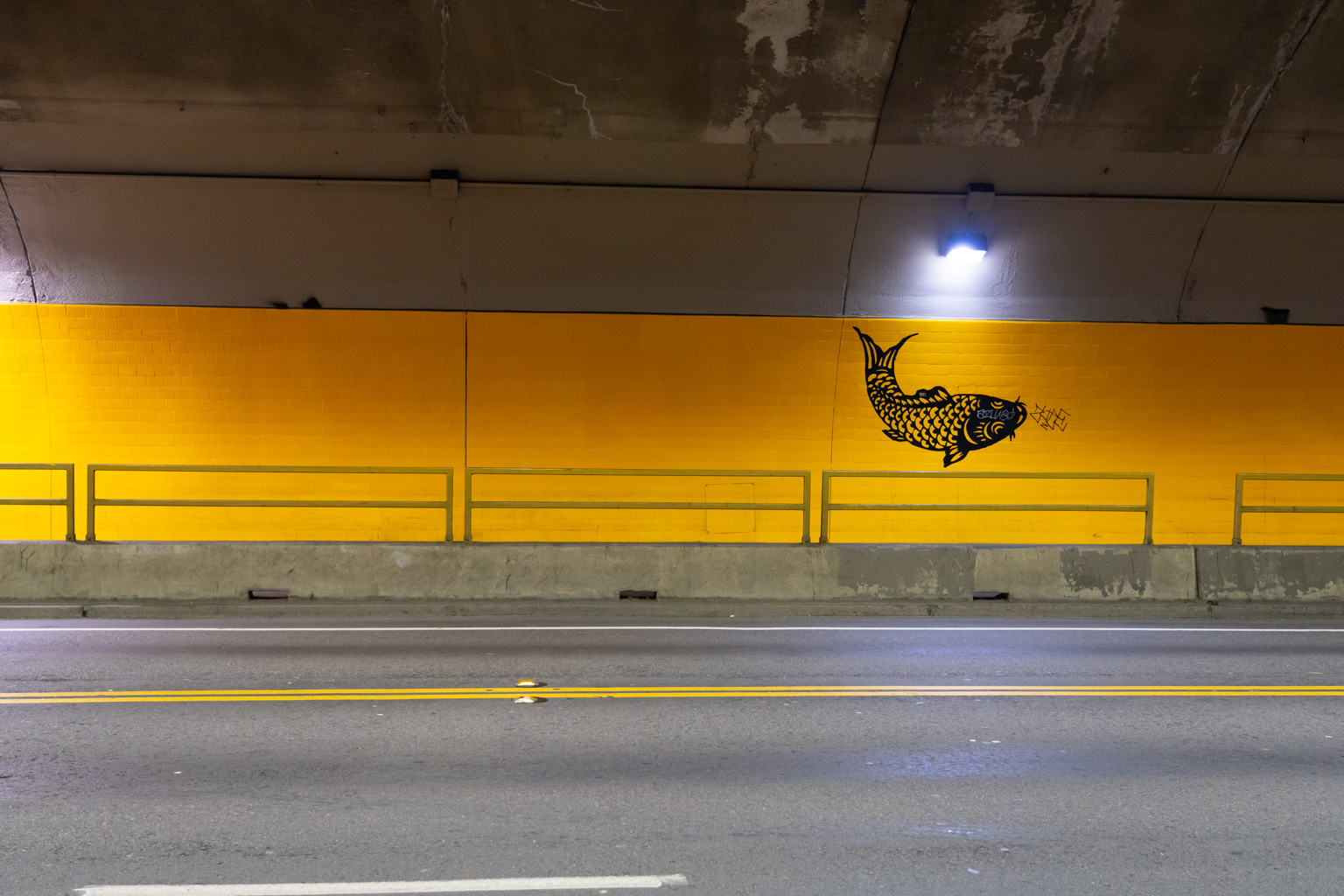 Koi in a Tunnel