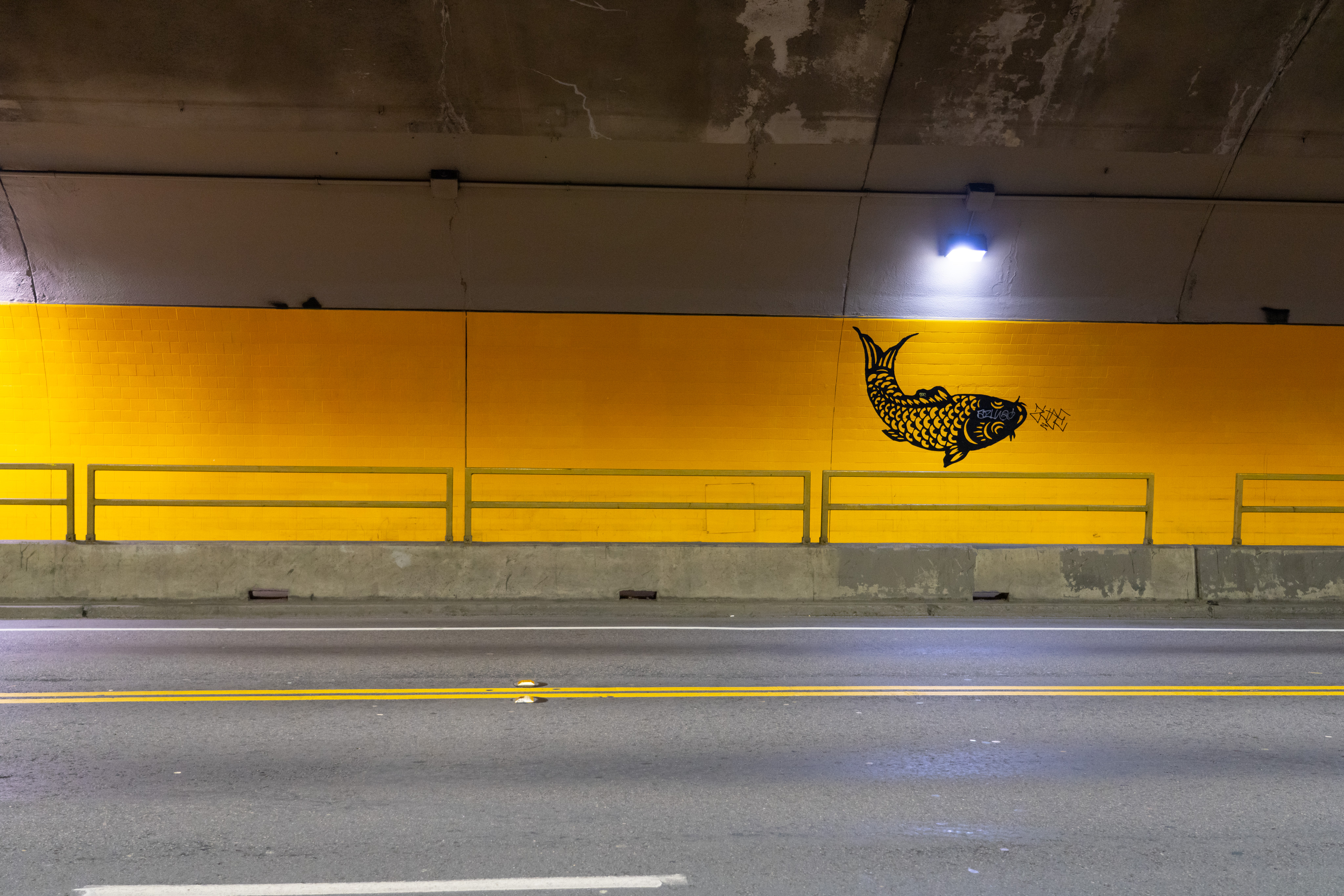 A view from inside of a road tunnel. A long panel of yellow stretches from left to right, with a black illustration of a koi fish on the wall.