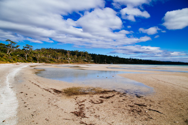 A Tasmania beach
