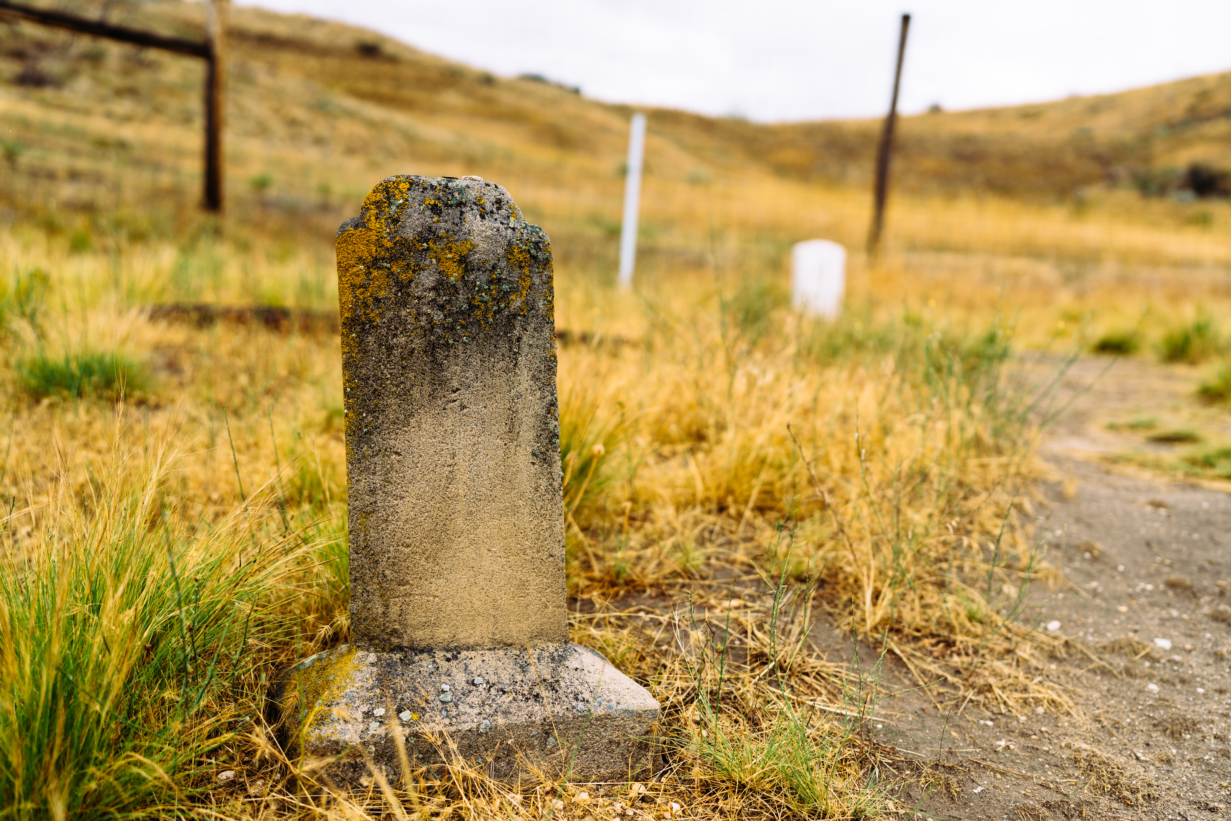 _DSC1854.ARW