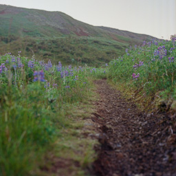 000073970006.tif