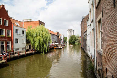 IMG_0685.CR2