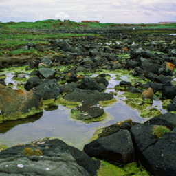 000073800010.tif