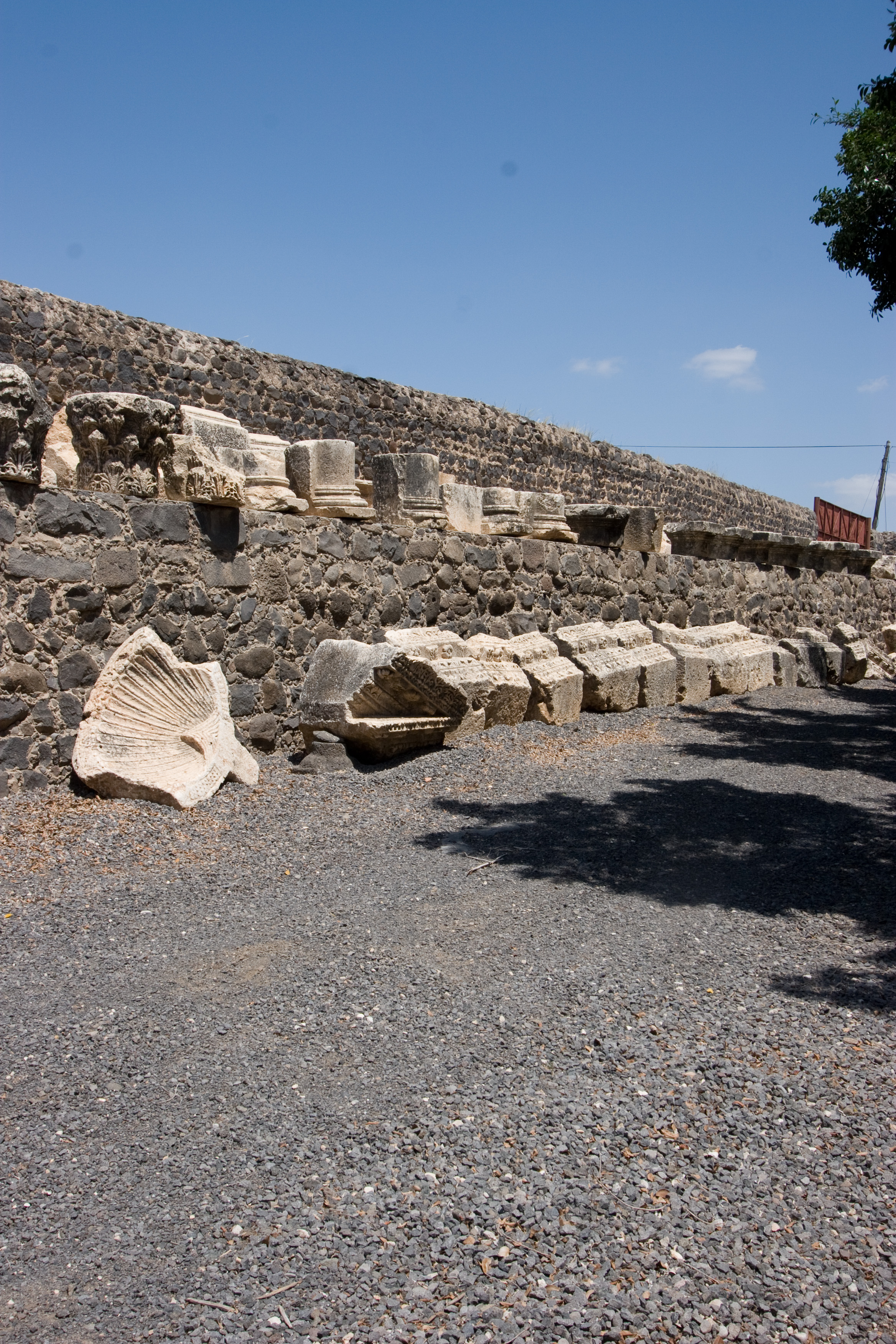 Ruins at Capharnaum