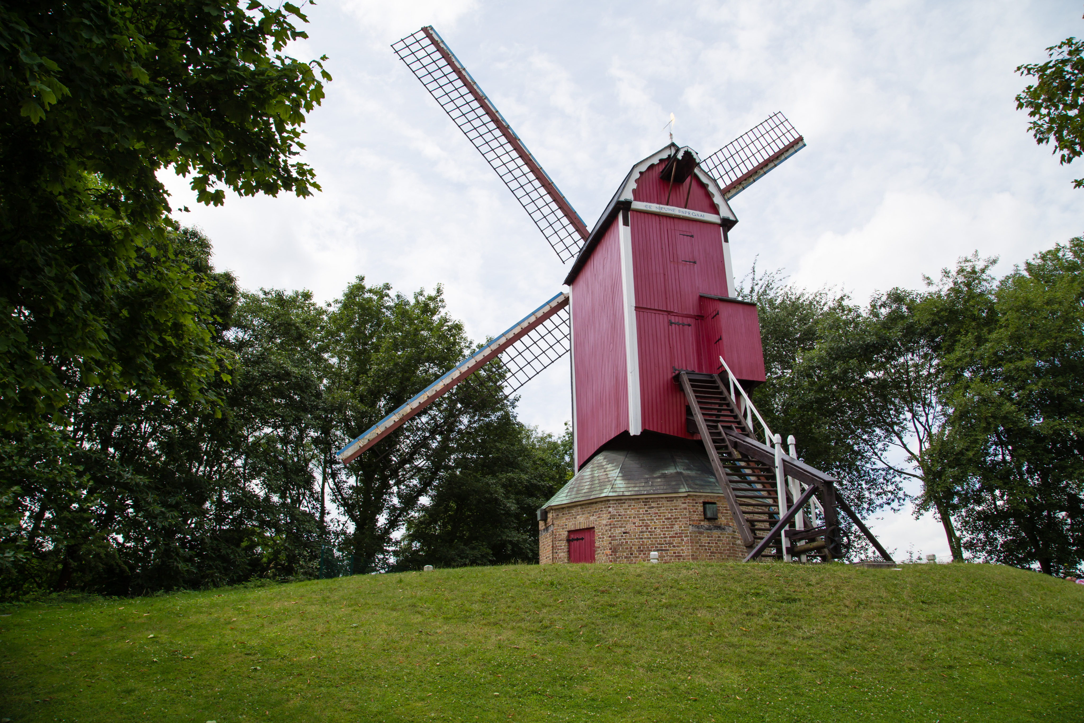 IMG_0784.CR2
