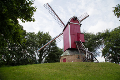IMG_0784.CR2